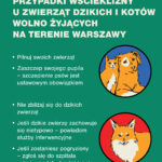 Wścieklizna w Warszawie